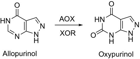 axyprm|Oxipurinol: Alloxanthine, Oxyprim , Oxypurinol .